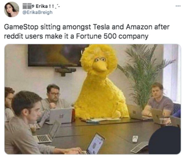 big bird meme - Erika !! GameStop sitting amongst Tesla and Amazon after reddit users make it a Fortune 500 company