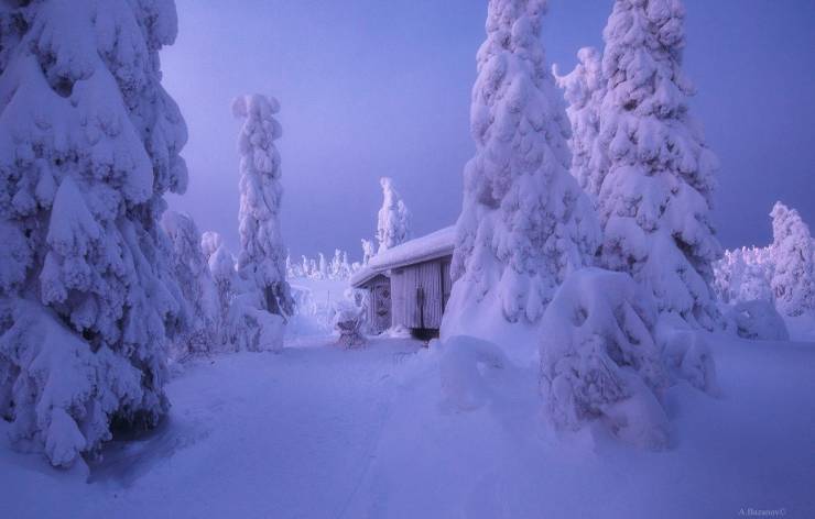 amazing photos - winter