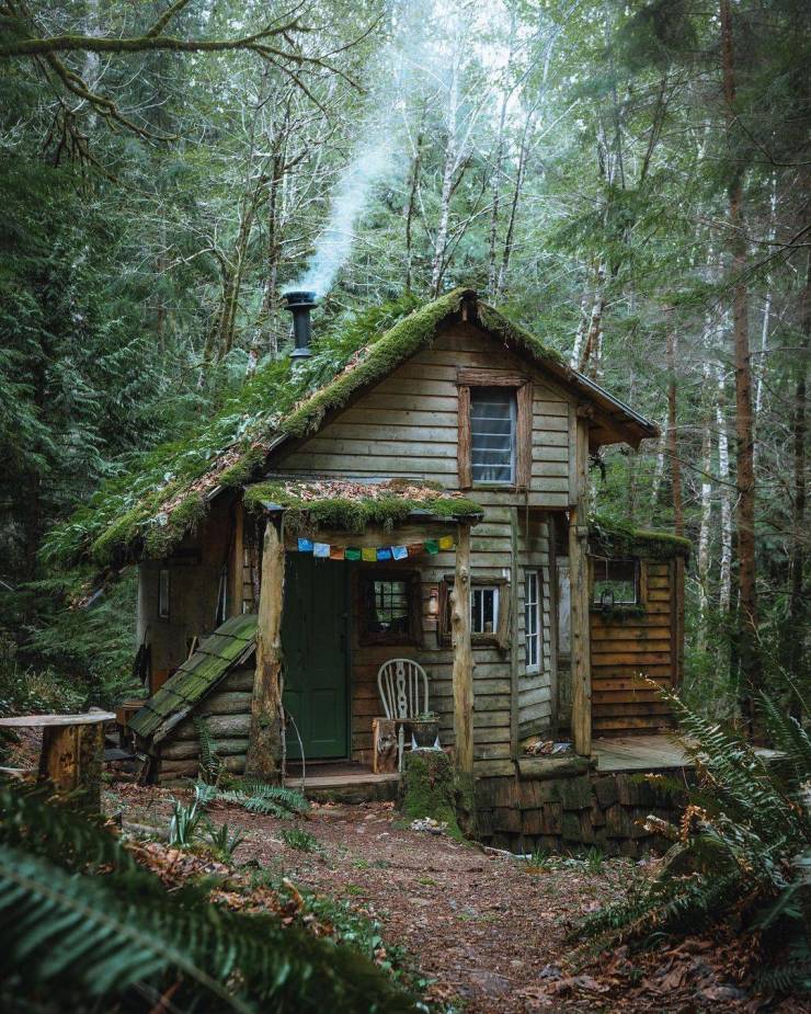 amazing photos - rustic house forest