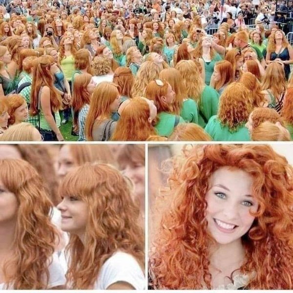 Gathering of redheads.