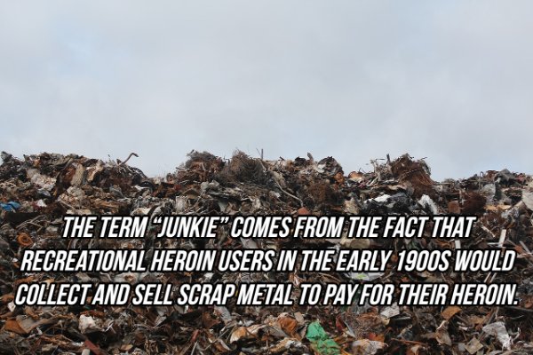 waste - The Term Junkie Comes From The Fact That Recreational Heroin Users In The Early 1900S Would Collect And Sell Scrap Metal To Pay For Their Heroin.