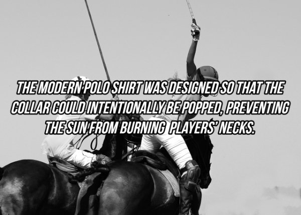 Equestrianism - The Modern Polo Shirt Was Designed So That The Collar Could Intentionally Be Popped, Preventing The Sun From Burning Players Necks.