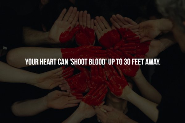 ايد بايد - Your Heart Can 'Shoot Blood' Up To 30 Feet Away.