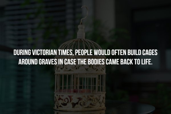 t know their true power - During Victorian Times, People Would Often Build Cages Around Graves In Case The Bodies Came Back To Life.