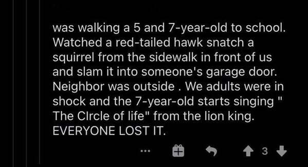 was walking a 5 and 7yearold to school. Watched a redtailed hawk snatch a squirrel from the sidewalk in front of us and slam it into someone's garage door. Neighbor was outside. We adults were in shock and the 7yearold starts singing" The Circle of life"…