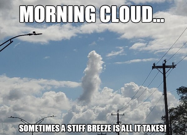 miya bhai - Morning Cloud... Sometimes A Stiff Breeze Is All It Takes!