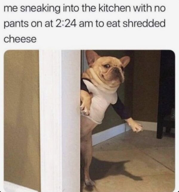 me sneaking into the kitchen meme - me sneaking into the kitchen with no pants on at to eat shredded cheese