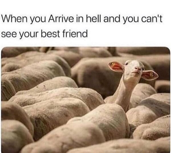 relatable funny memes - When you Arrive in hell and you can't see your best friend