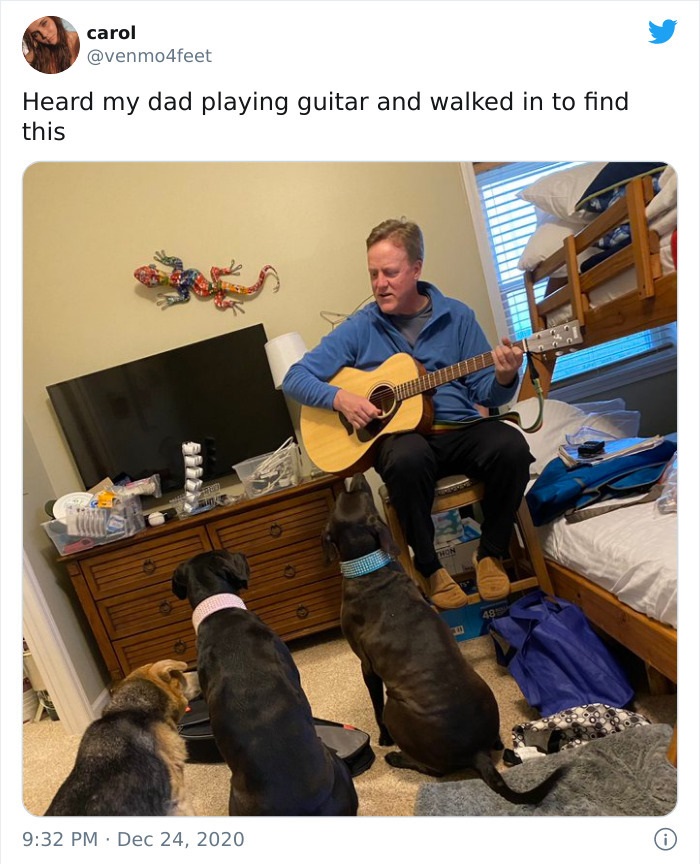 dad playing guitar to dogs - carol Heard my dad playing guitar and walked in to find this Don