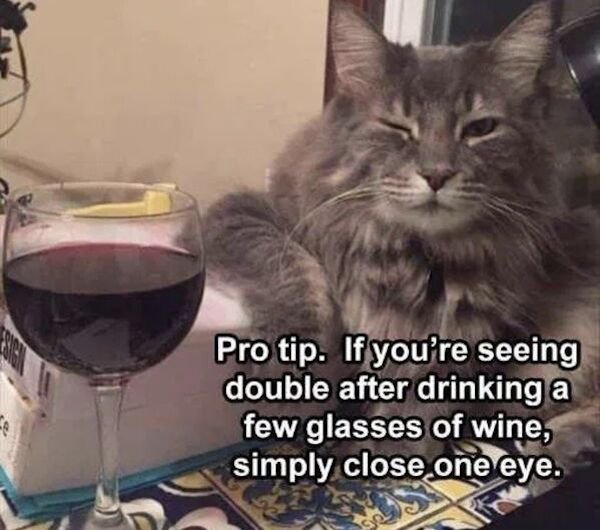 snimsl memes - Pro tip. If you're seeing double after drinking a few glasses of wine, simply close one eye.