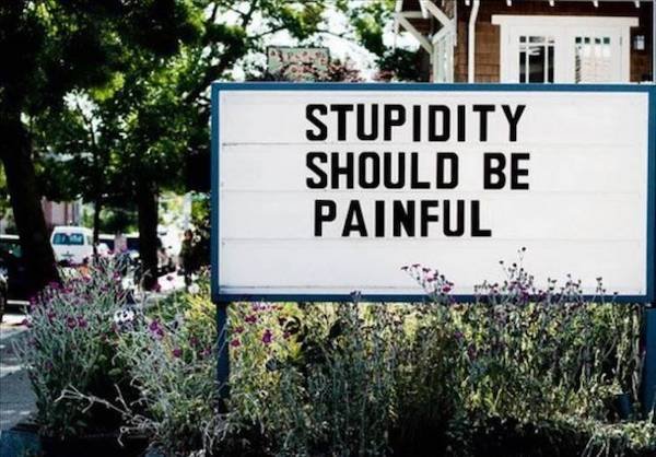 tree - Stupidity Should Be Painful