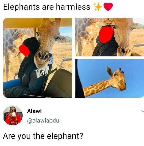 elephants are harmless giraffe - Elephants are harmless Alawi Are you the elephant?