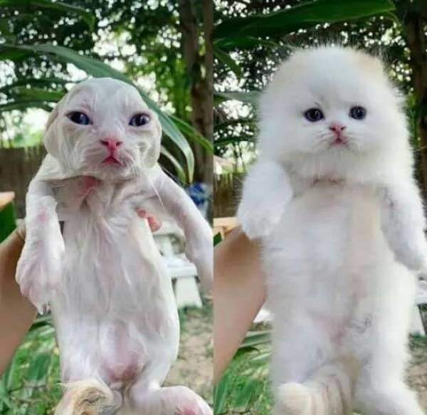 "Before and after a bath :)"