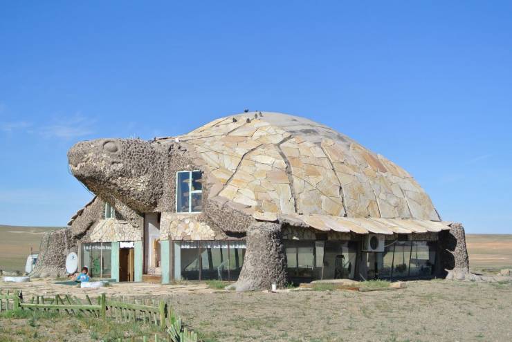 turtle house - E