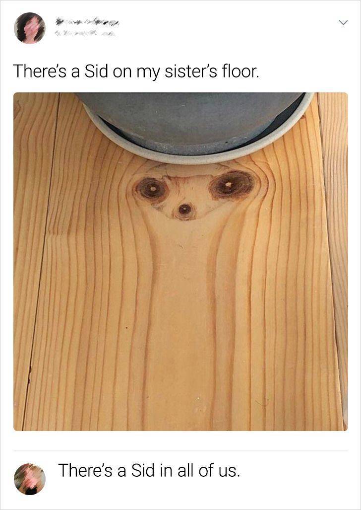 wood - There's a Sid on my sister's floor. There's a Sid in all of us.