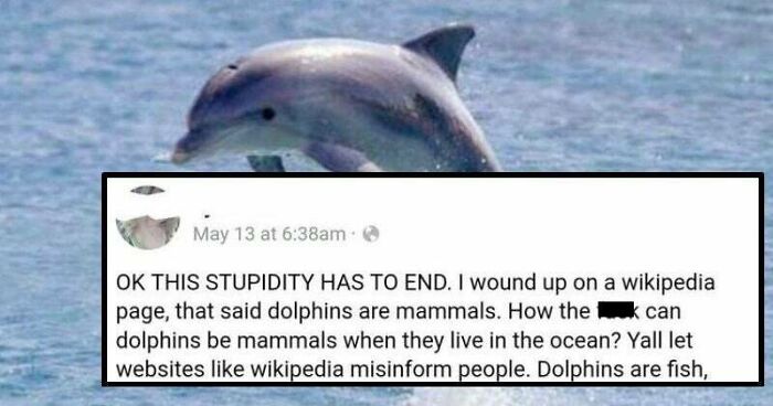 fauna - May 13 at am Ok This Stupidity Has To End. I wound up on a Wikipedia page, that said dolphins are mammals. How the can dolphins be mammals when they live in the ocean? Yall let websites wikipedia misinform people. Dolphins are fish,