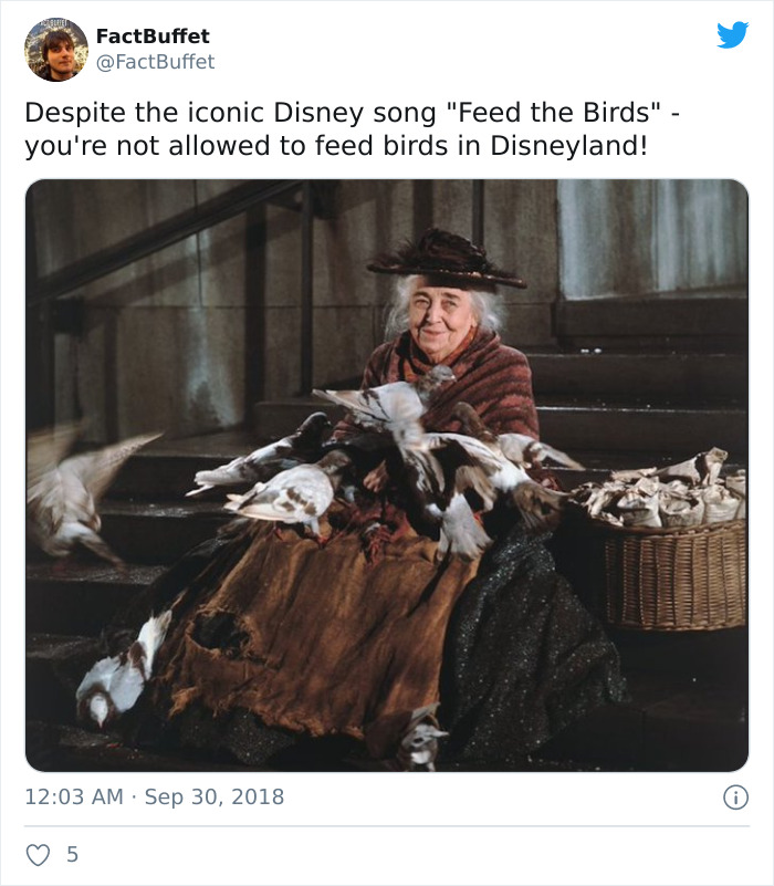 bird lady mary poppins - FactBuffet Despite the iconic Disney song "Feed the Birds" you're not allowed to feed birds in Disneyland! 5