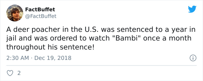 paper - FactBuffet A deer poacher in the U.S. was sentenced to a year in jail and was ordered to watch "Bambi" once a month throughout his sentence! 0 2