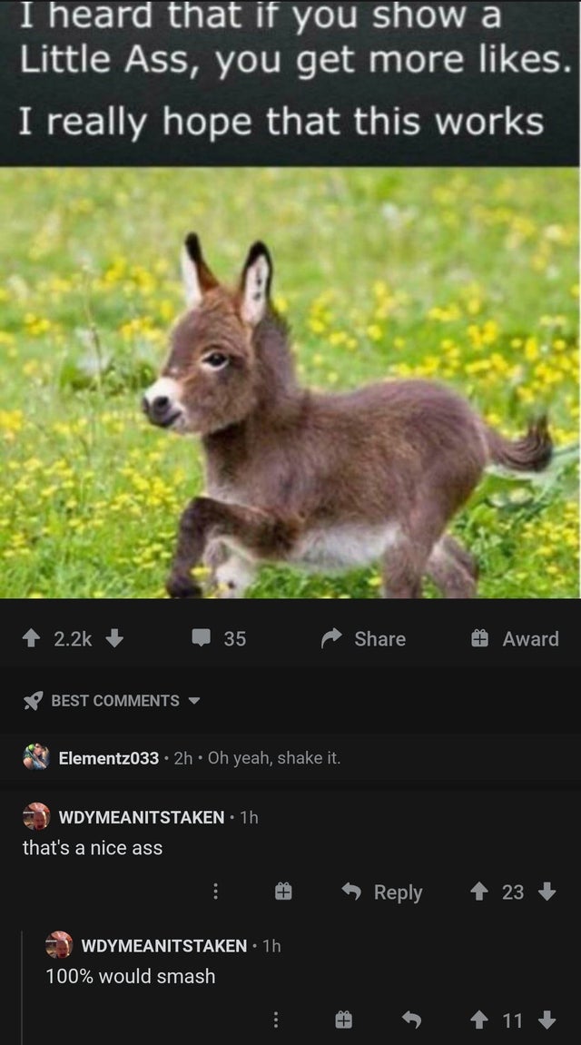 30 Cursed Comments.