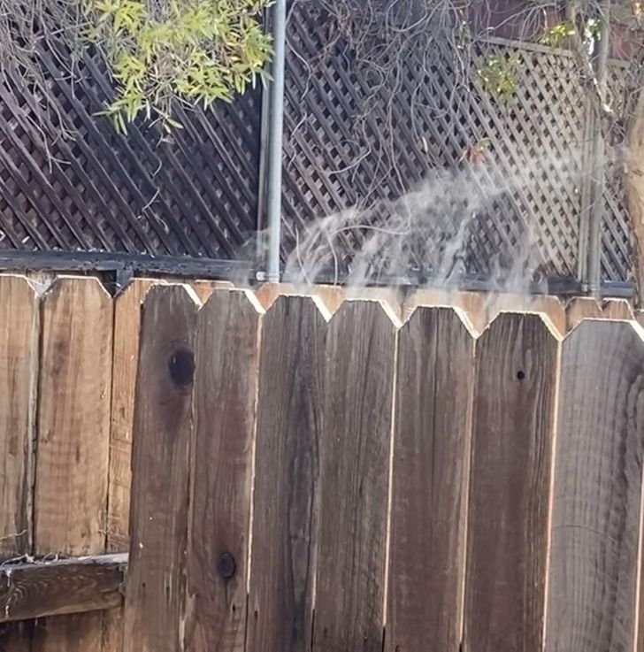 This fence is smoking, not because it’s burning, but because it rained the day before and the heat is drying it out.