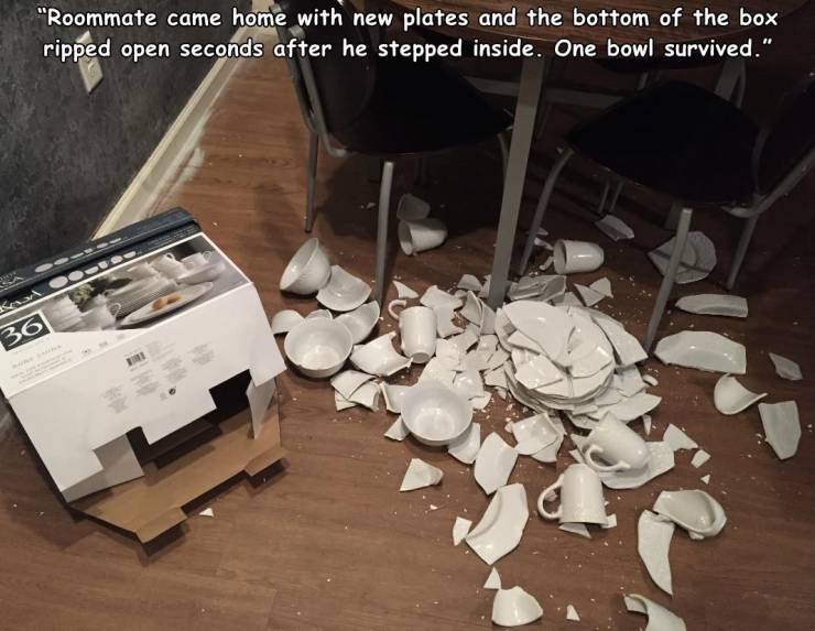 floor - "Roommate came home with new plates and the bottom of the box ripped open seconds after he stepped inside. One bowl survived." 36