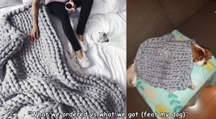 chunky not blanket - What we ordered vs what we got feat my dog"