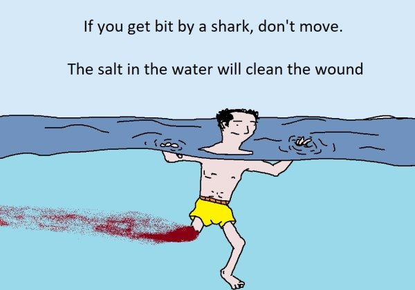 cartoon - If you get bit by a shark, don't move. The salt in the water will clean the wound The