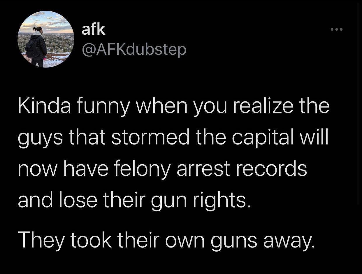funny facts - Kinda funny when you realize the guys that stormed the capital will now have felony arrest records and lose their gun rights. They took their own guns away.