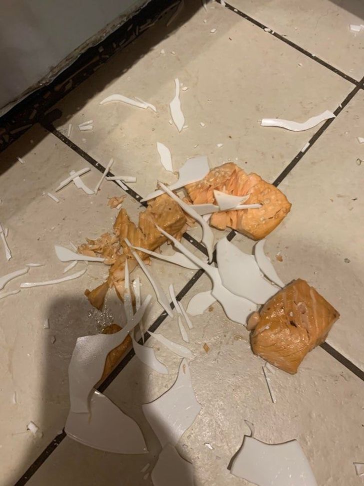 “I dropped my marinated salmon fillets just as we were about to eat.”
