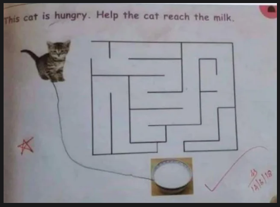 funny memes - This cat is hungry. Help the cat reach the milk.