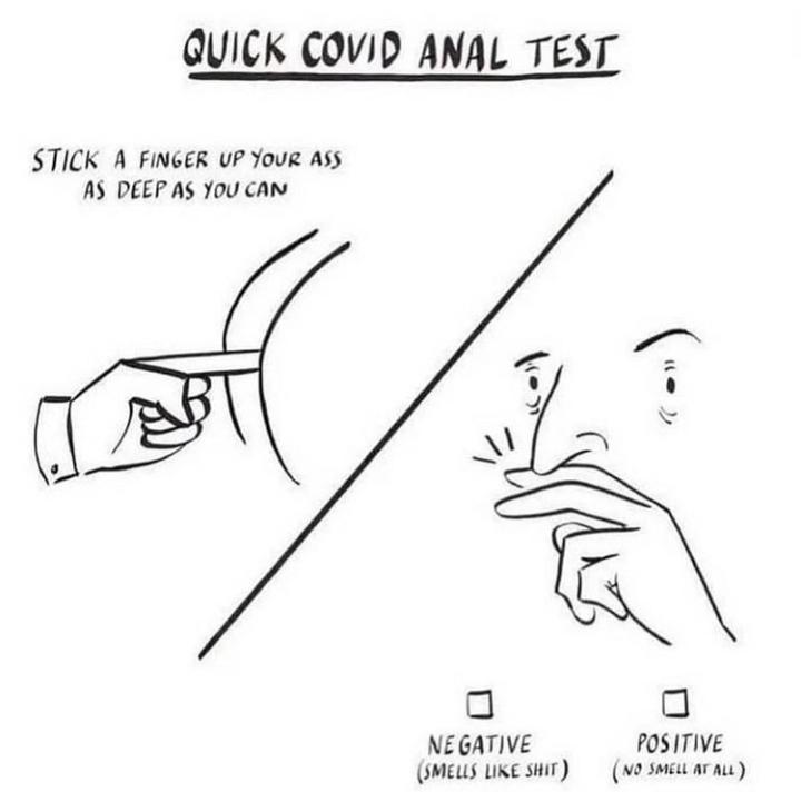 funny memes - Quick Covid Anal Test Stick A Finger Up Your Ass As Deep As You Can of Negative Smells Shit Positive No Smell At All