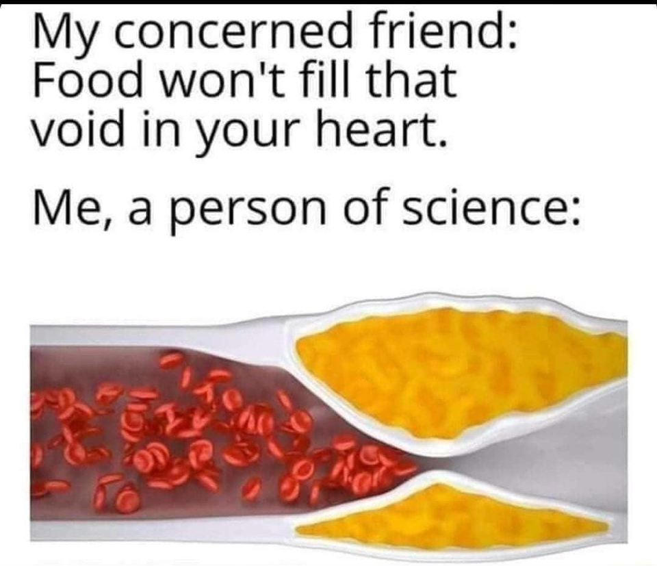 funny memes - My concerned friend Food won't fill that void in your heart. Me, a person of science