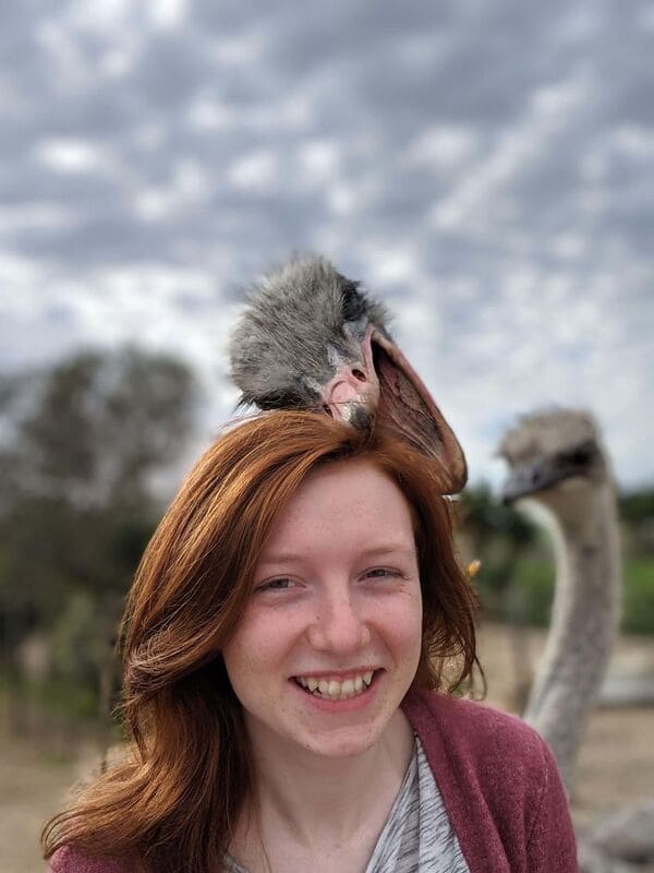 My wife’s first ostrich encounter.