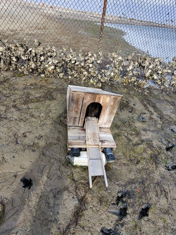 Floating home found tied to a fence on the beach in Southern California

A: It’s floating duck house or similar structure for local waterfowl. They give ducks a place to sleep safe from predators or to escape water predators (usually snapping turtles and such).