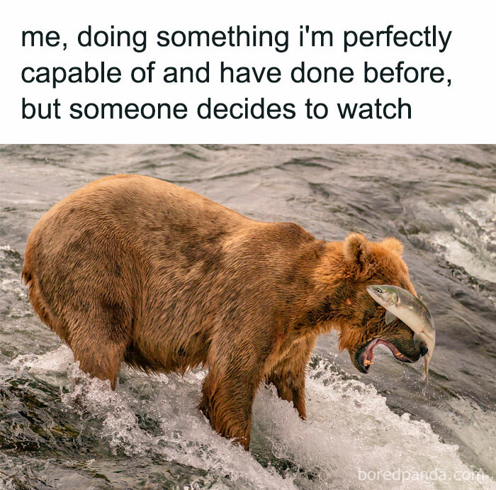 funny memes - me, doing something i'm perfectly capable of and have done before, but someone decides to watch