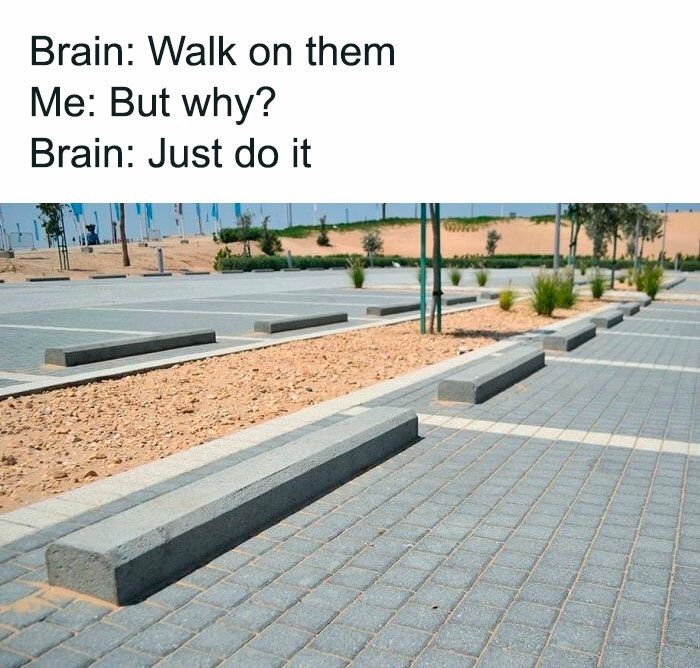 funny memes - Brain Walk on them Me But why? Brain Just do it
