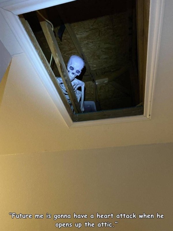 funny pics and randoms - room - "Future me is gonna have a heart attack when he opens up the attic."
