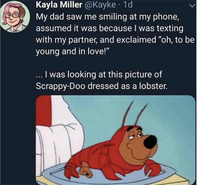 dank horror memes - Kayla Miller 1d My dad saw me smiling at my phone, assumed it was because I was texting with my partner, and exclaimed "oh, to be young and in love!" ... I was looking at this picture of ScrappyDoo dressed as a lobster.