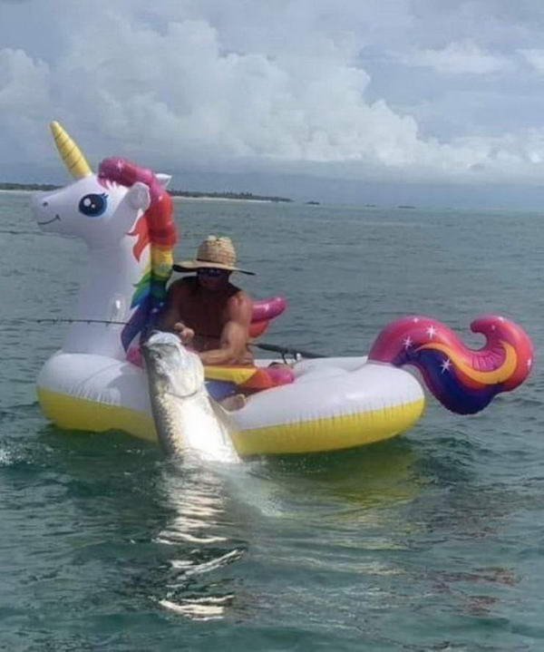 funny pics - man catches tarpon from unicorn float