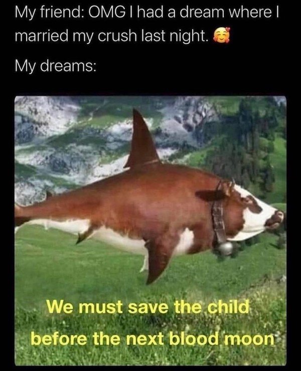 funny pics - My friend Omg I had a dream where I married my crush last night. My dreams We must save the child before the next blood moon