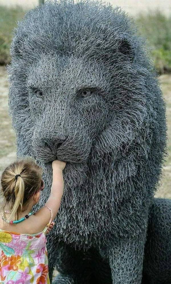 chicken wire sculpture lion