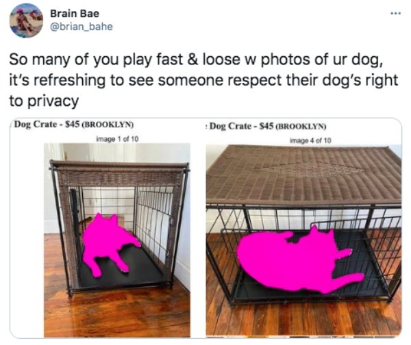 table - . Brain Bae So many of you play fast & loose w photos of ur dog, it's refreshing to see someone respect their dog's right to privacy Dog Crate $45 Brooklyn Dog Crate $45 Brooklyn image 1 of 10 image 4 of 10