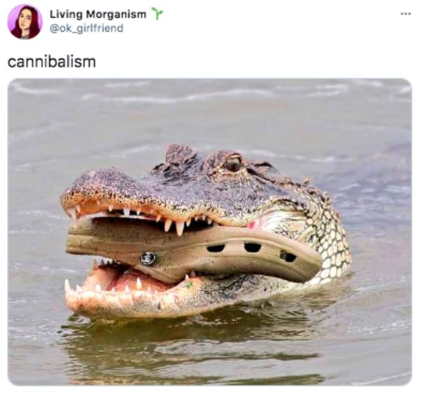 nature is beautiful meme - Living Morganism cannibalism