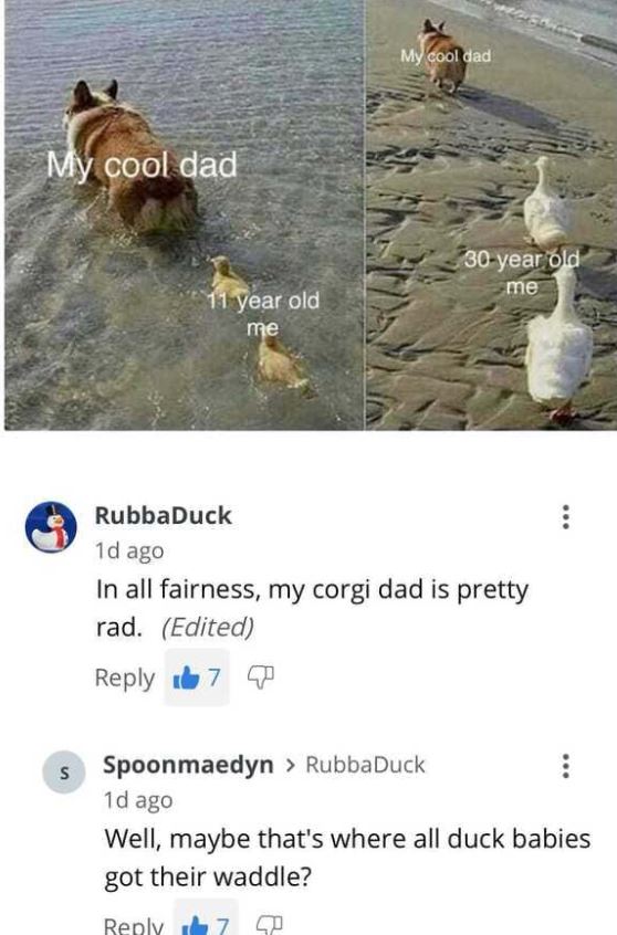 funny comments - My cool dad My cool dad 30 year old me 11 year old me - In all fairness, my corgi dad is pretty rad. Edited - Well, maybe that's where all duck babies got their waddle?