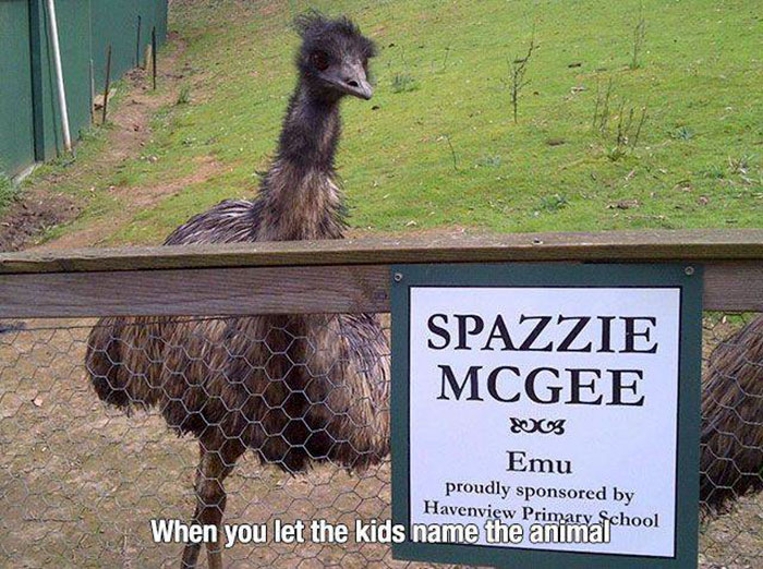 spazzy mcgee emu - Spazzie Mcgee 03 Emu proudly sponsored by Havenview Primary.fchool When you let the kids name the animal