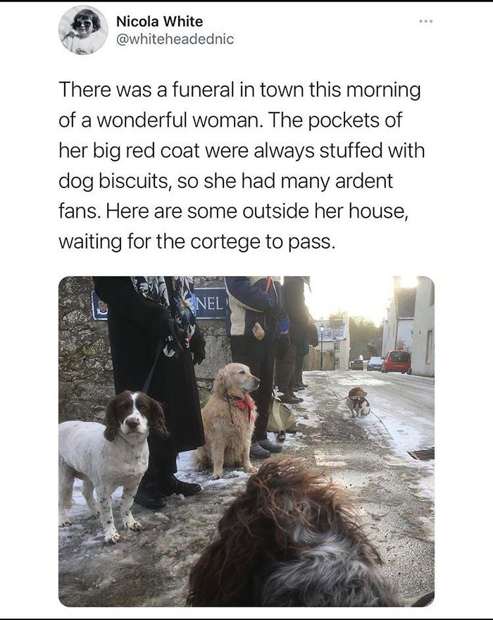 photo caption - Nicola White There was a funeral in town this morning of a wonderful woman. The pockets of her big red coat were always stuffed with dog biscuits, so she had many ardent fans. Here are some outside her house, waiting for the cortege to pas