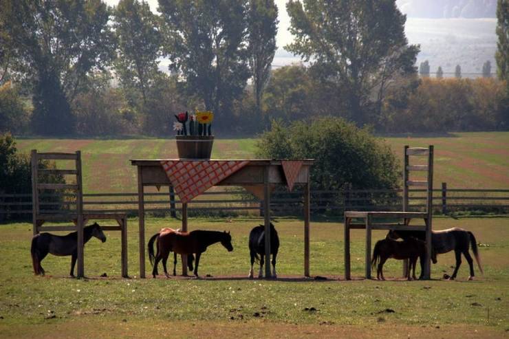 giant table and chairs horse shelter