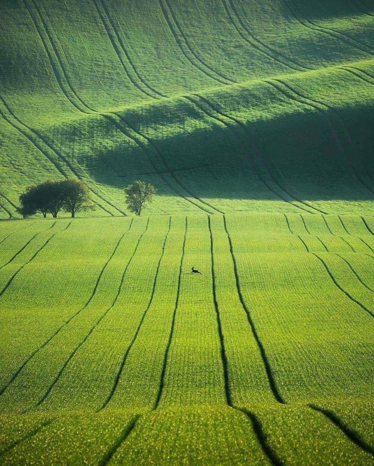 south moravian region czech republic