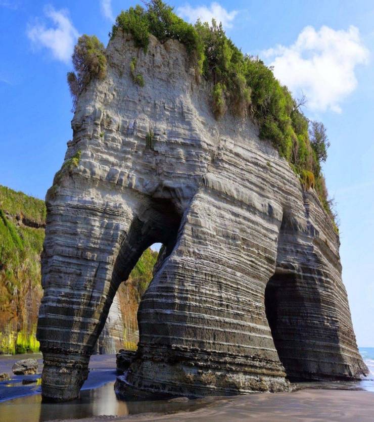 elephant rock new zealand