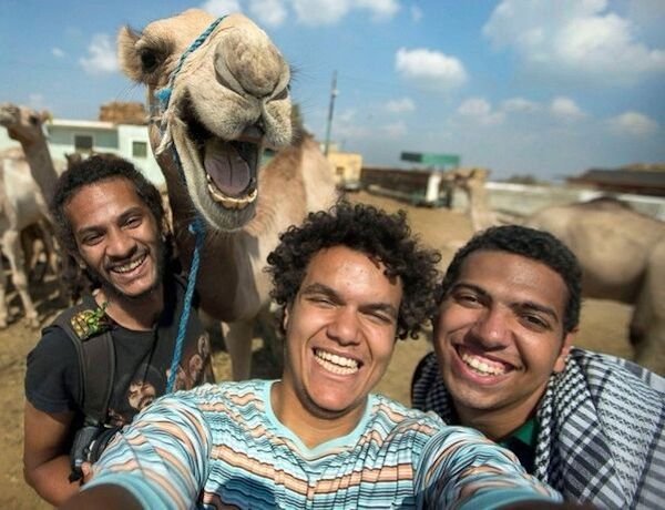 smile camel